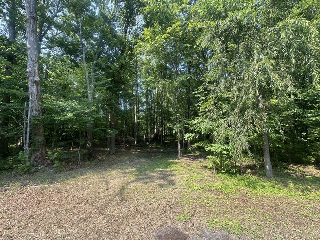 0 S Pinson Dr, White House, TN 37188