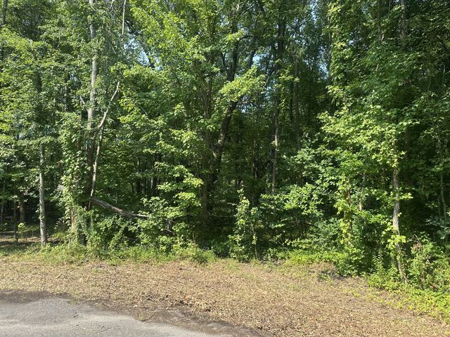 0 S Pinson Dr, White House, TN 37188