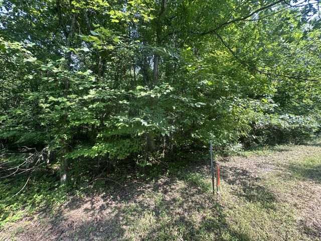 0 S Pinson Dr, White House, TN 37188