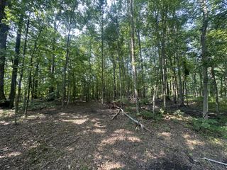 0 S Pinson Dr, White House, TN 37188