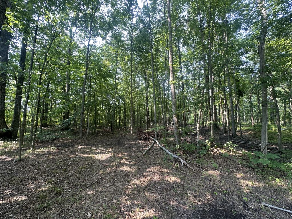 0 S Pinson Dr, White House, TN 37188