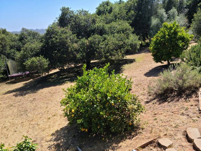 19085 Marjorie Road, Salinas, CA 93907