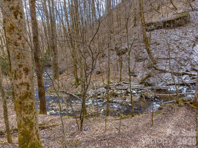 1668 Buff Creek Road, Sylva, NC 28779