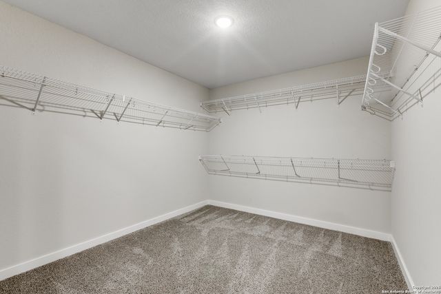 7913 Cactus Plum, San Antonio, TX 78254