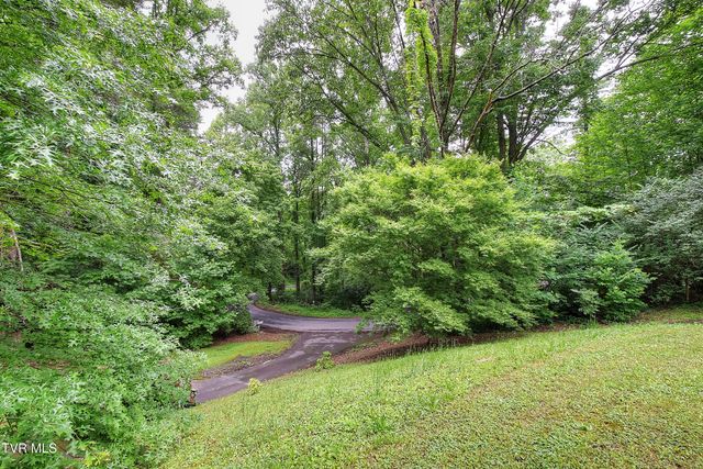642 Dennis Cove Road, Hampton, TN 37658
