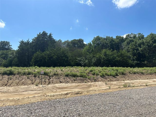Lot 9 County Road 1110, Farmersville, TX 75442