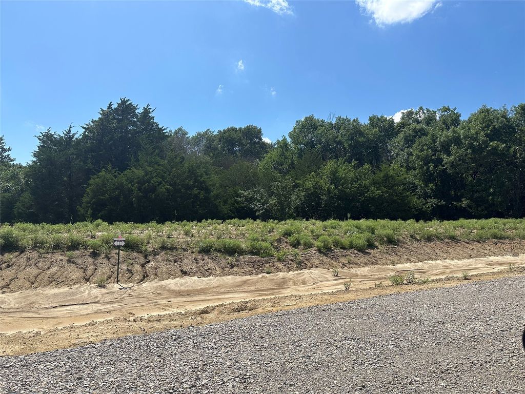 Lot 9 County Road 1110, Farmersville, TX 75442