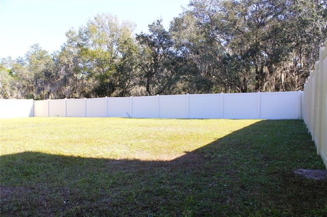 2058 STELLAR BRILLIANCE WAY, Lutz, FL 33558