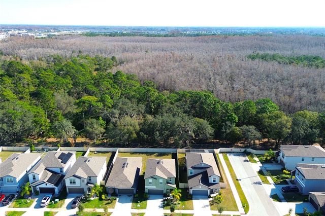 2058 STELLAR BRILLIANCE WAY, Lutz, FL 33558