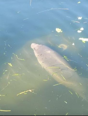 773 NE 9TH STREET A, Crystal River, FL 34428