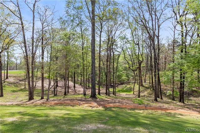 14228 Watercolor, Northport, AL 35475