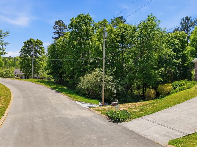 00 Cleo Circle, Ringgold, GA 30736