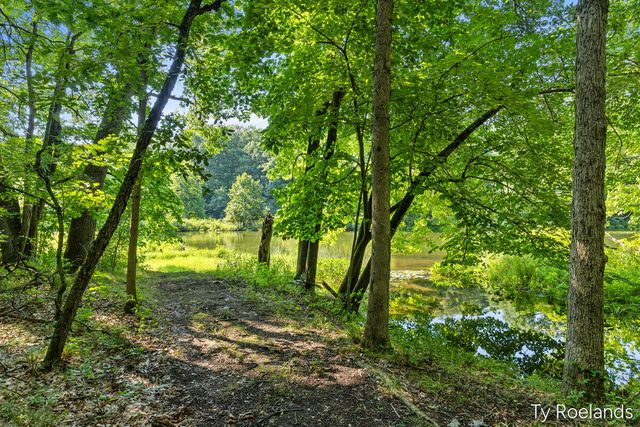 99 Radny Drive Se, Vergennes Twp, MI 49331