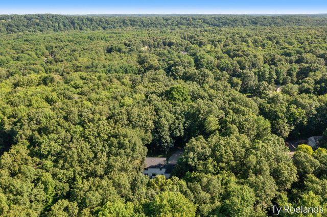 99 Radny Drive Se, Vergennes Twp, MI 49331