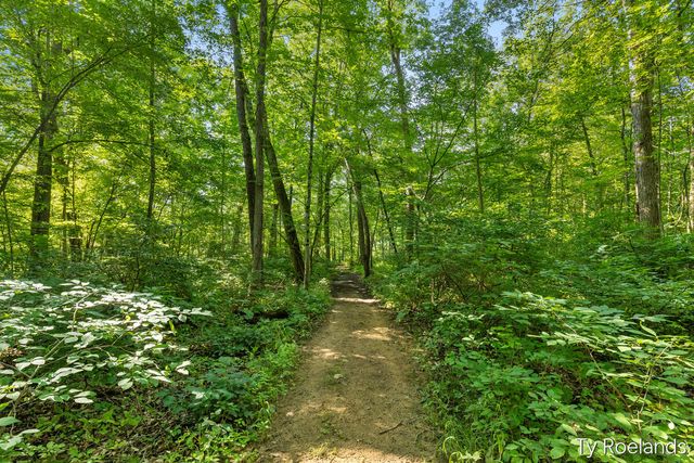 99 Radny Drive Se, Vergennes Twp, MI 49331