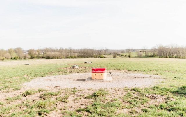 2978 Peacock, Paris, KY 40361