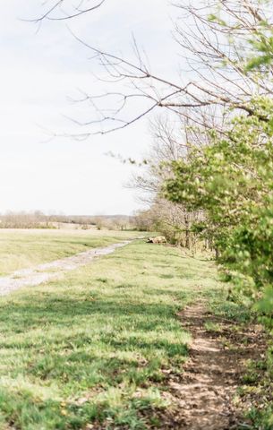 2978 Peacock, Paris, KY 40361