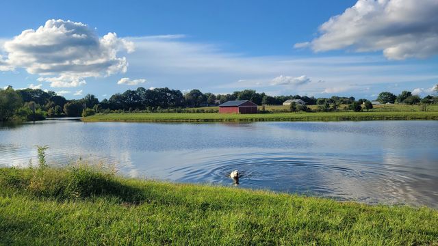 81 Slaughter Pen Rd, Ardmore, TN 38449