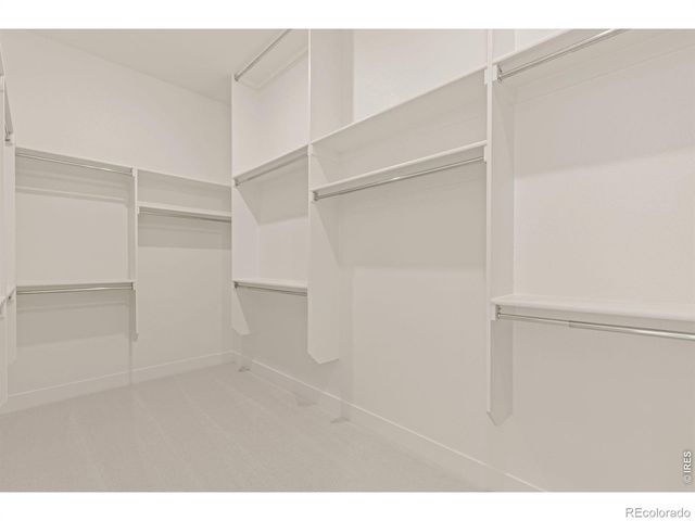 1818 Windfall Drive, Windsor, CO 80550