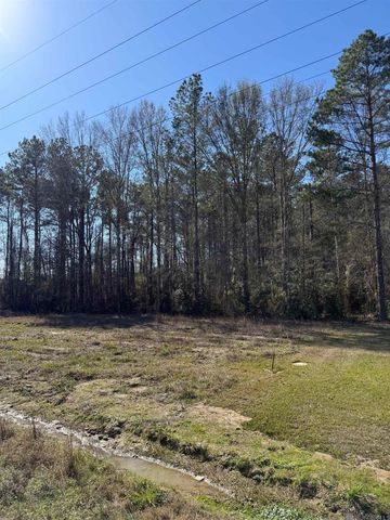 TBD La Hwy 63, Livingston, LA 70754