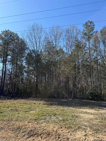 TBD La Hwy 63, Livingston, LA 70754