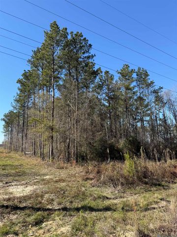 TBD La Hwy 63, Livingston, LA 70754