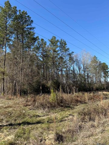 TBD La Hwy 63, Livingston, LA 70754