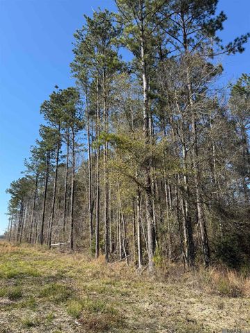 TBD La Hwy 63, Livingston, LA 70754
