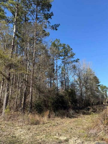 TBD La Hwy 63, Livingston, LA 70754