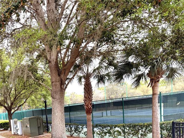 5325 RED CORAL CIRCLE, Mount Dora, FL 32757