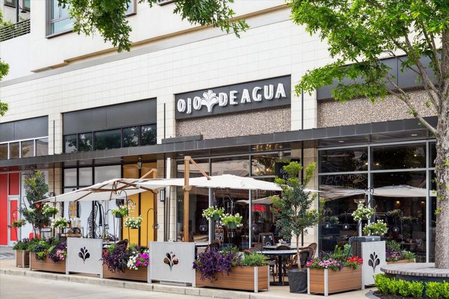 2207 Bancroft Street 1606, Houston, TX 77027