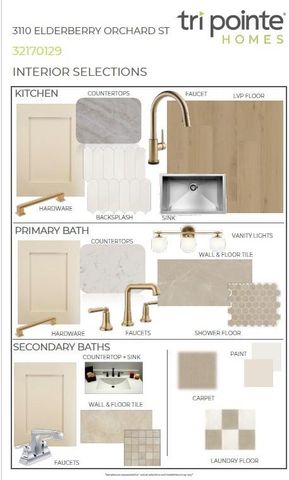 3110 Elderberry Orchard, Richmond, TX 77406