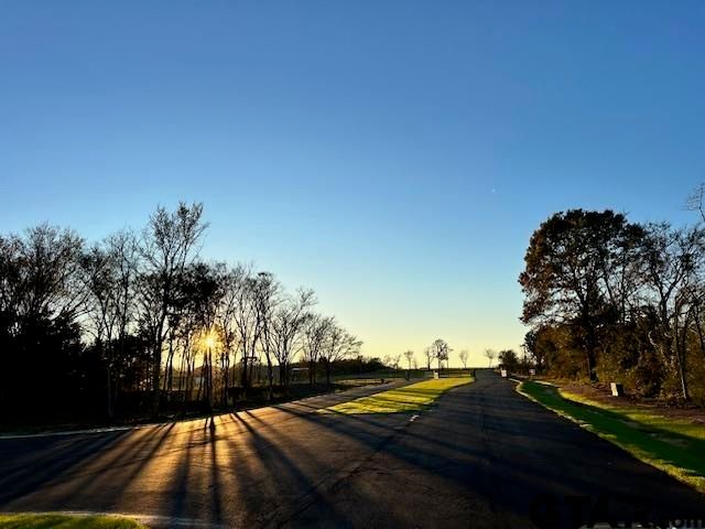 Lot 68 Oak River, Frankston, TX 75763