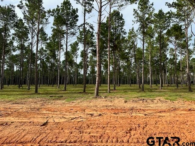 Lot 68 Oak River, Frankston, TX 75763