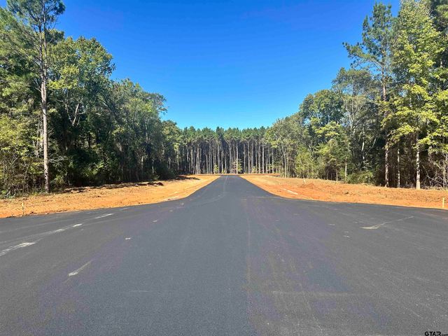 Lot 68 Oak River, Frankston, TX 75763