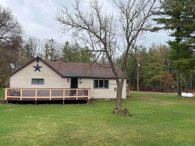 1450 Sheldon Street, Moffatt Twp, MI 48610