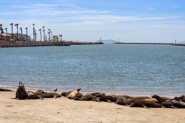 2125 Piru Avenue, Oxnard, CA 93035