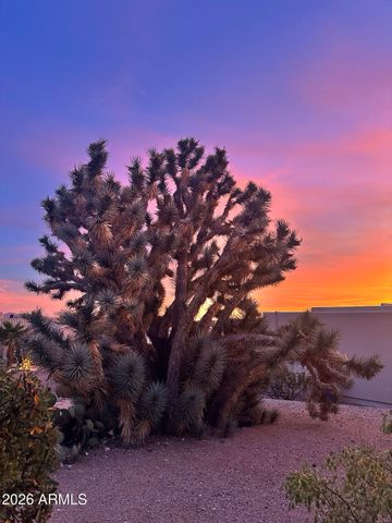 16442 N PICATINNY Way, Fountain Hills, AZ 85268