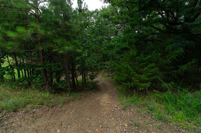 26134 Highway 23, Huntsville, AR 72740