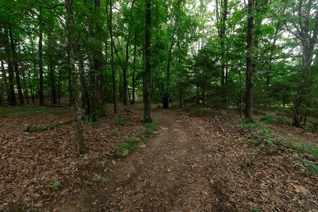 26134 Highway 23, Huntsville, AR 72740