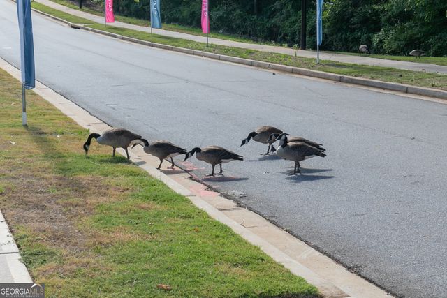 744 Coventry Cove Way, Acworth, GA 30102