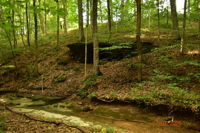 2869 Stacy Ln, Clarksville, TN 37043