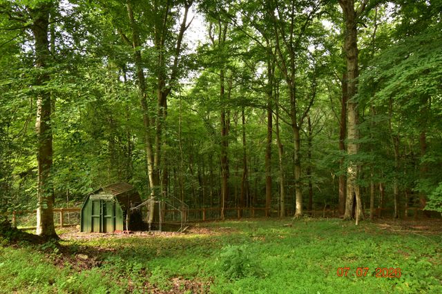 2869 Stacy Ln, Clarksville, TN 37043