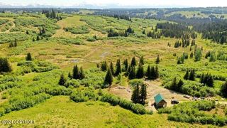 61245 Ohlson Mountain Road, Homer, AK 99603