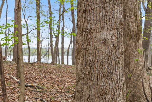 00 Crestwood Lot 27 Trail, Harrison, TN 37341