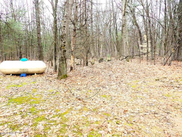 2051 W Parklane Road, White Cloud, MI 49349