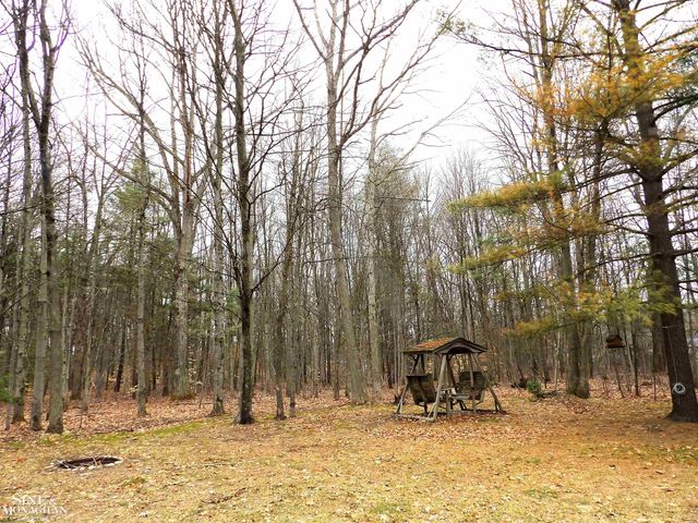 2051 W Parklane Road, White Cloud, MI 49349