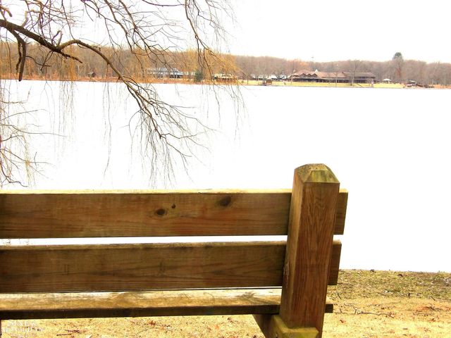 2051 W Parklane Road, White Cloud, MI 49349