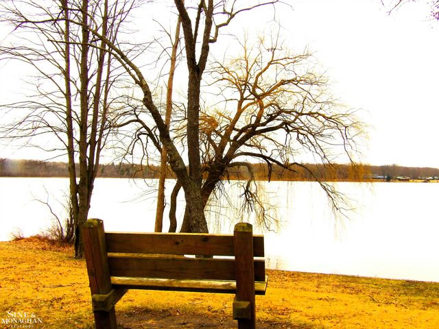 2051 W Parklane Road, White Cloud, MI 49349