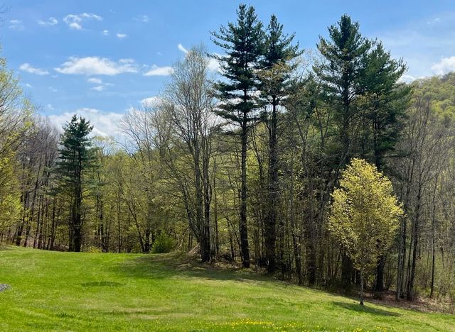 42 Mountain Road, Middletown Springs, VT 05757
